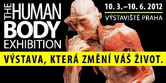 В Праге пройдет известнейшая выставка пластинированных тел The Human Body