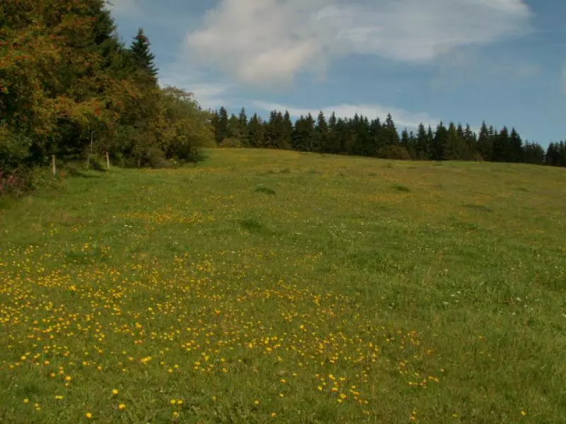 Wanderurlaub Tschechien