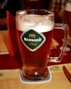 чешское пиво Bernard